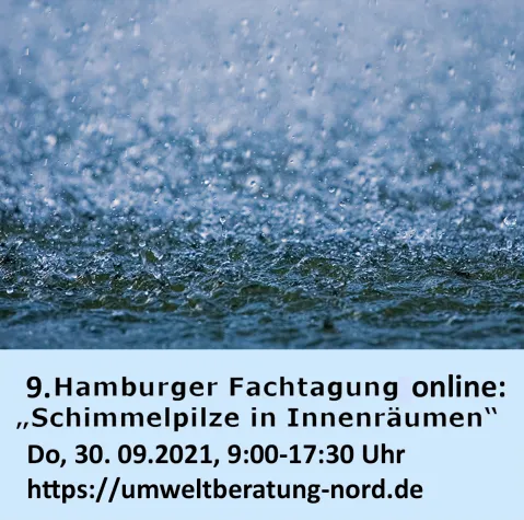 9. Hamburger Fachtagung "Schimmelpilze in Innenräumen" Bild: 9. Hamburger Fachtagung "Schimmelpilze in Innenräumen"