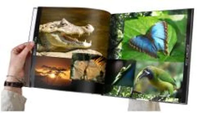 Bild: Fotobuch-Verlag my moments verschickt Printprodukte ab sofort klimaneutral