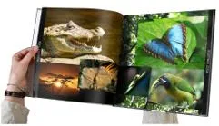 Bild: Fotobuch-Verlag my moments verschickt Printprodukte ab sofort klimaneutral
