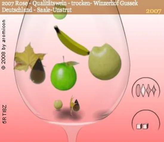 Bild: aromicon-Weinportal gewinnt Businessplanwettbewerb 2008 von Sachsen-Anhalt