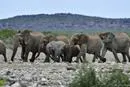 Bild: Luxuriöse Safari-Reise durch Botswana – Das ursprüngliche Afrika entdecken