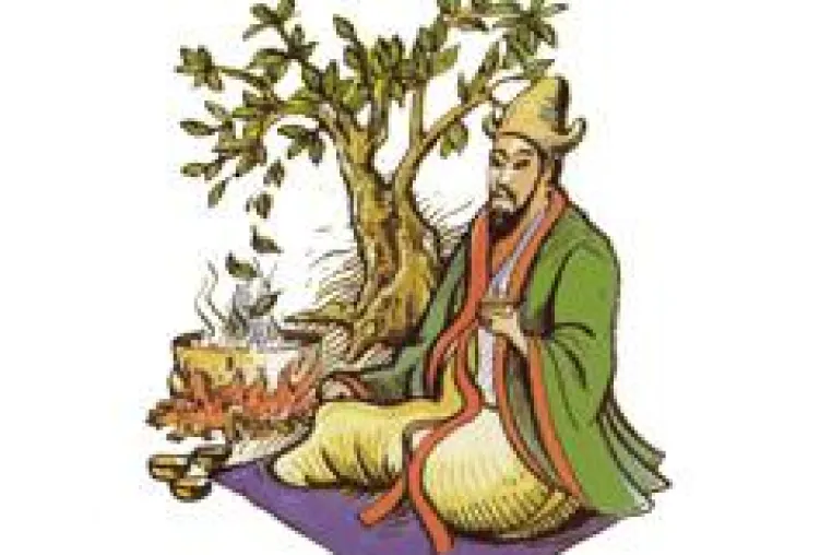Bild: Jiaogulan: Effizienter als Ginseng
