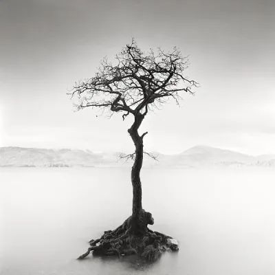 Schottland hält Einzug bei CONZEN am Carlsplatz durch Landschaftsfotografien von Arkadius Zagrabski Bild: Schottland hält Einzug bei CONZEN am Carlsplatz durch Landschaftsfotografien von Arkadius Zagrabski