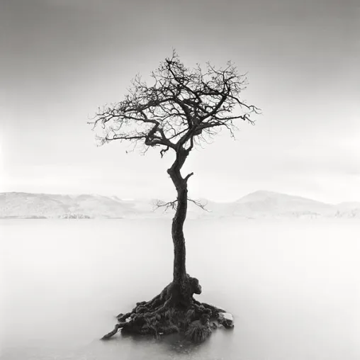 Schottland hält Einzug bei CONZEN am Carlsplatz durch Landschaftsfotografien von Arkadius Zagrabski Bild: Schottland hält Einzug bei CONZEN am Carlsplatz durch Landschaftsfotografien von Arkadius Zagrabski