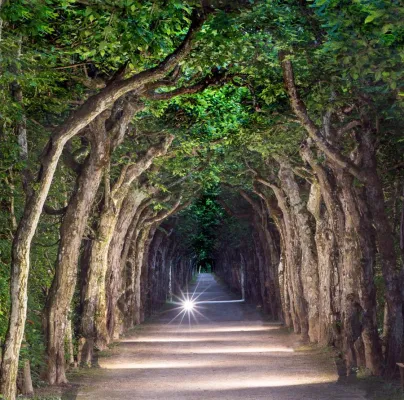 Bild: Manuell Blitzen lernen im Fotoworkshop „Blitzen“ mit der Fotoschule des Sehens