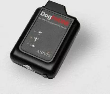 Vierbeiner an der Handy-Leine Bild: Vierbeiner an der Handy-Leine