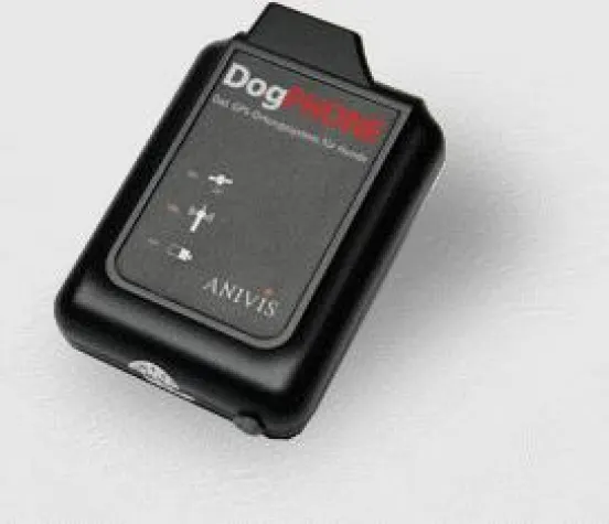 Vierbeiner an der Handy-Leine Bild: Vierbeiner an der Handy-Leine