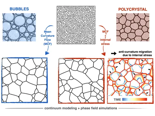 Werkstoffe künftig gezielter entwickeln: Warum wachsen Kristallkörner in Metallen und Keramiken anders als gedacht? Bild: Werkstoffe künftig gezielter entwickeln: Warum wachsen Kristallkörner in Metallen und Keramiken anders als gedacht?