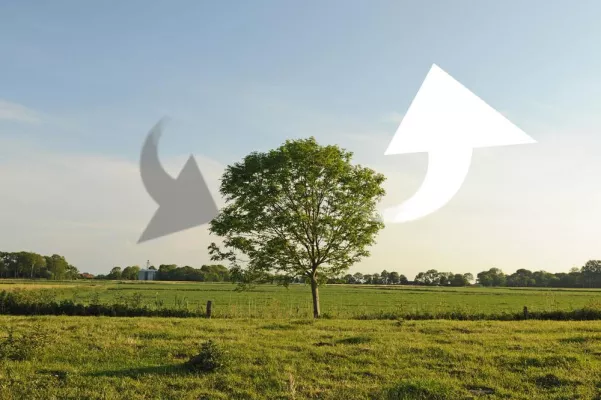 CO2-Rechner - Spielerisch das Klima schützen Bild: CO2-Rechner - Spielerisch das Klima schützen