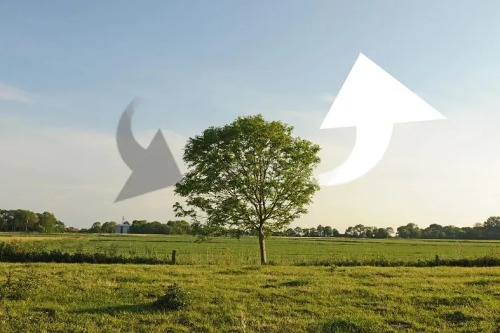 CO2-Rechner - Spielerisch das Klima schützen Bild: CO2-Rechner - Spielerisch das Klima schützen