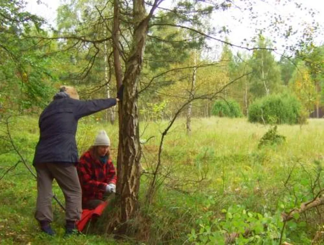 Wald-Arbeit ist Team-Arbeit