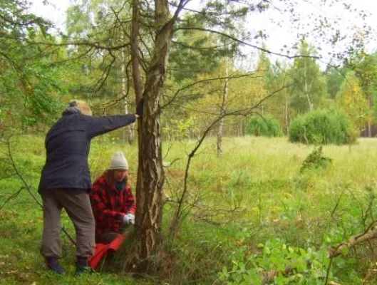 Bild: Urlaub mal ganz anders: Waldarbeiter für eine Woche