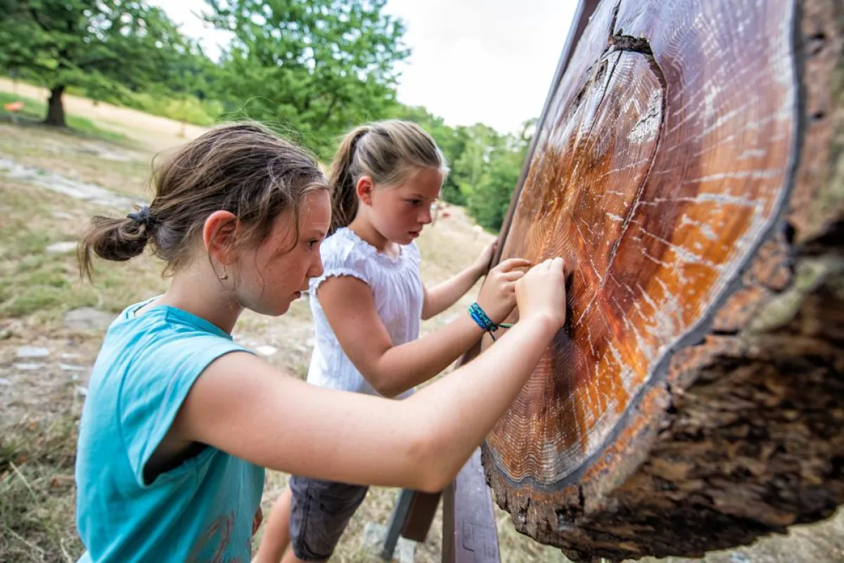 Naturerlebnis für Familien: die Bildungsstätte Sellnitz. Foto: Florian Trykowski