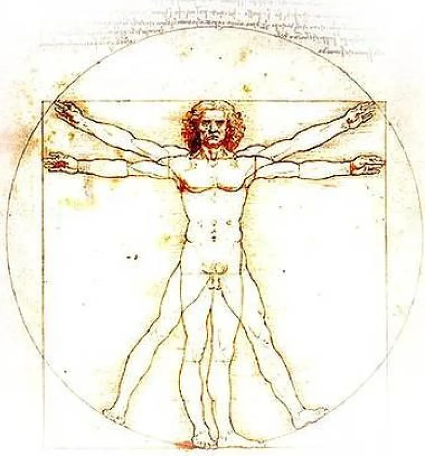 Die Funktionsweise des Stütz- und Bewegungsapparates aus Sicht der Physiotherapie