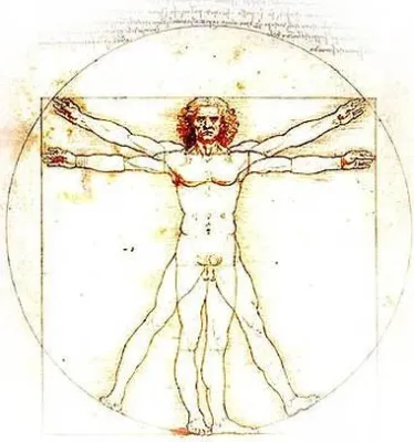 Bild: Physiotherapie - Massage Praxis Kiel