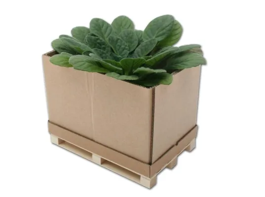 Nachhaltige Verpackungen – kein Ding der Unmöglichkeit Bild: Nachhaltige Verpackungen – kein Ding der Unmöglichkeit