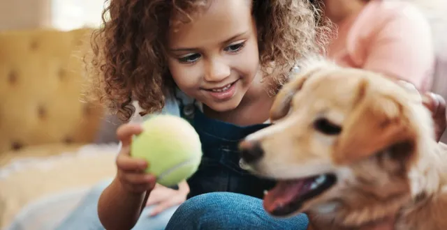 Bild: Tierschutz in Ihrer Nähe: So unterstützen Sie Fellnasen
