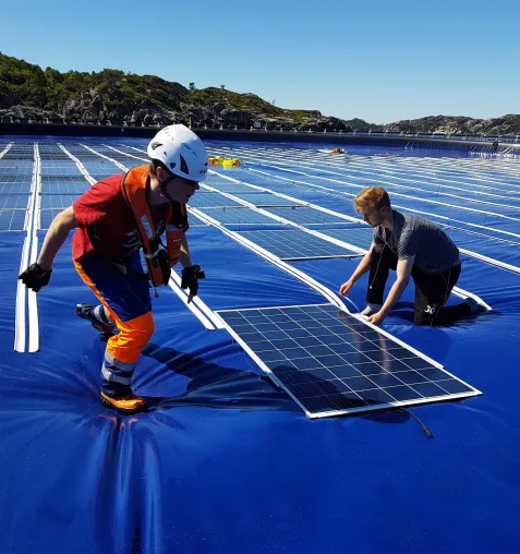 Bild: Neues schwimmendes Photovoltaik-Trampolin im Online Vergleich mit anderen schwimmenden Technologien