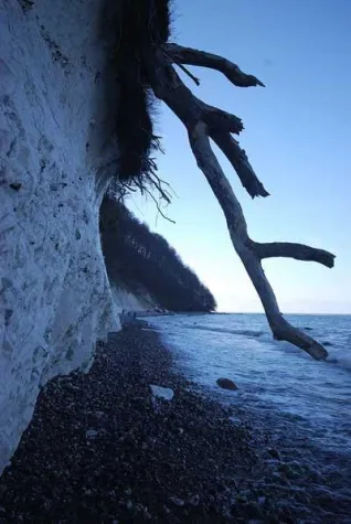 Bild: Romantische Wintertage auf Rügen