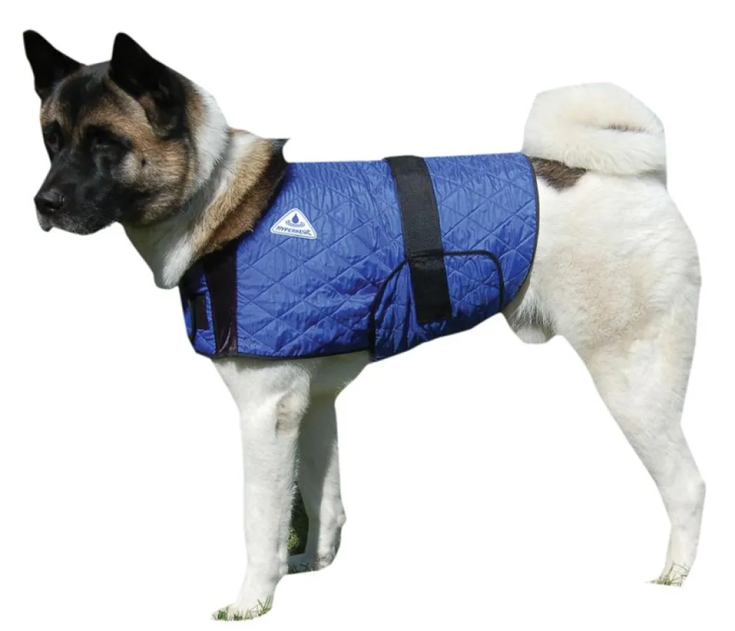 Mit Hyperkewl-Westen geht es Hunden bei hohen Temperaturen besser.