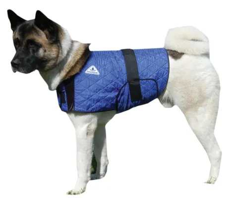 Bild: Produkte von HYPERKEWL sorgen dafür, dass sich auch Tiere bei Hitze wohlfühlen