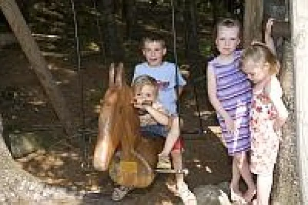 Bild: Vom Schaukelweg bis zur Besteigung des Dreisesselbergs