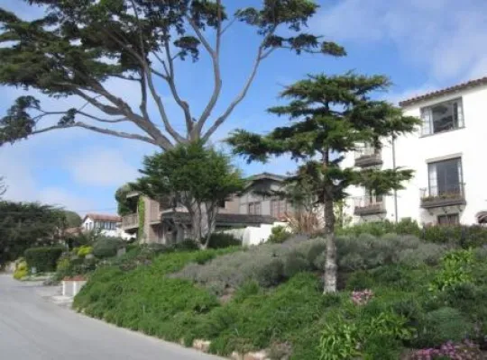 Schüleraustausch USA: Regionen- oder Staatenwahl – eine Chance, keine Garantie Bild: Schüleraustausch USA: Regionen- oder Staatenwahl – eine Chance, keine Garantie