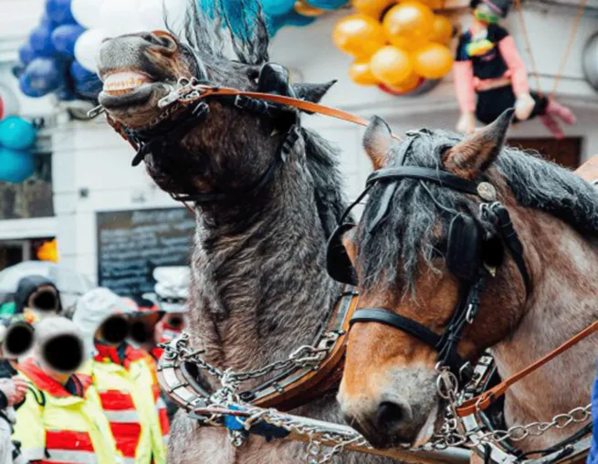 Bild: 200 Jahre Kölner Karneval – Zeit für einen Blick nach vorne