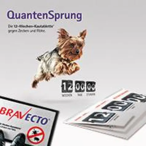 Bild: Peix macht einen Quantensprung