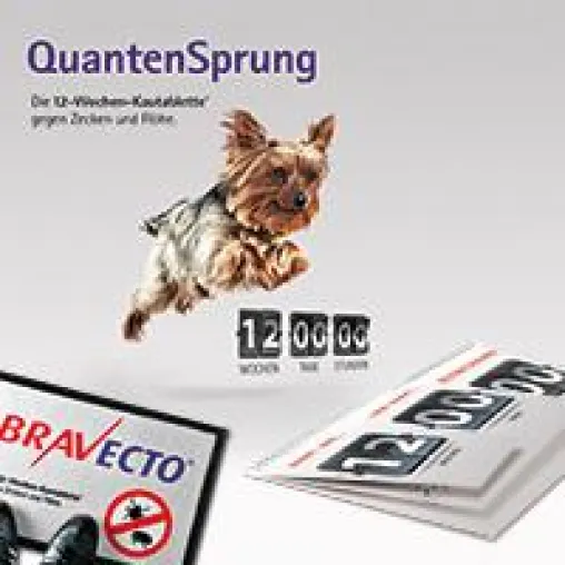 Bild: Peix macht einen Quantensprung