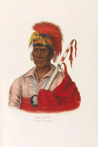 Auktion Wertvolle Bücher, Manuskripte, Autographen, Dekorative Graphik - Pocahontas und die Häuptlinge Bild: Auktion Wertvolle Bücher, Manuskripte, Autographen, Dekorative Graphik - Pocahontas und die Häuptlinge