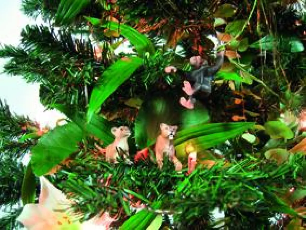 Pumas auf Schimpansenjagd im Weihnachtsbaum