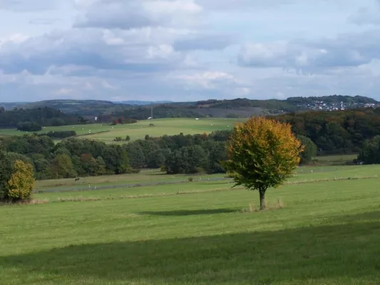 Bild: Unterwegs auf dem Kölner Weg