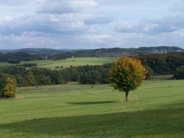 Unterwegs auf dem Kölner Weg Bild: Unterwegs auf dem Kölner Weg