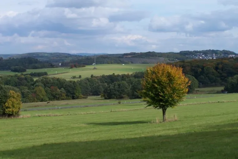 Bild: Unterwegs auf dem Kölner Weg