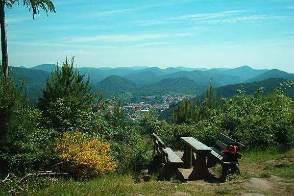 Bild: Per Mausklick in den Pfälzerwald - Internetportal für Wanderer und Urlauber