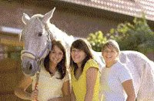 Bild: Ein Pferd für Zwei oder Drei - Infos zur Reitbeteiligung und Pferdehaftpflichtversicherung