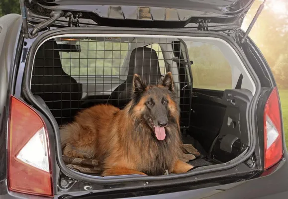 Bild: Originelles Travall® Guard Hundegitter sorgt für mehr Platz und Sicherheit im Volkswagen up!