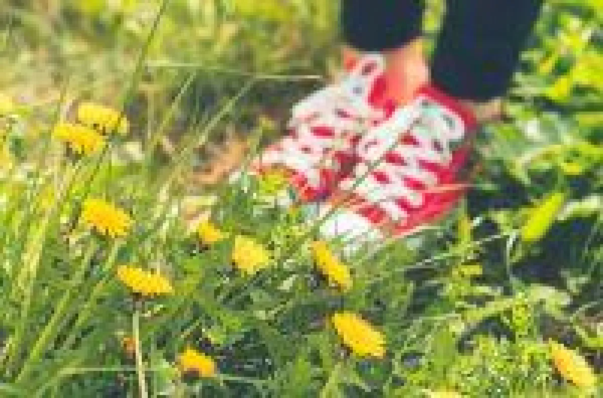 Sommerschuhe
