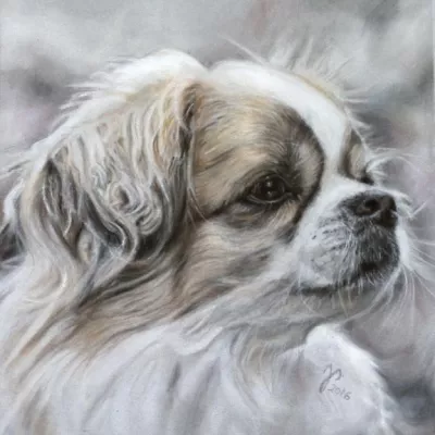 Bild: Doggy Days in der Galerie Stauferland in Hohenstaufen