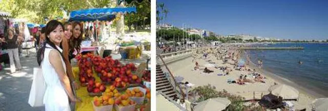 Bild: Die Top 3 Sprachreiseziele im Sommer 2014