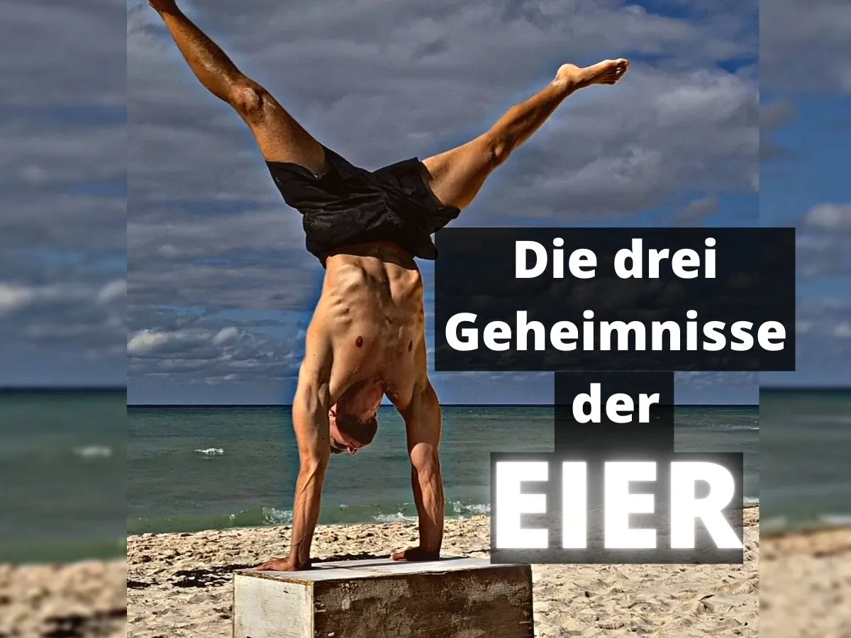 Eier als Superfood für die Gesundheit (© Vincent Braukämper)