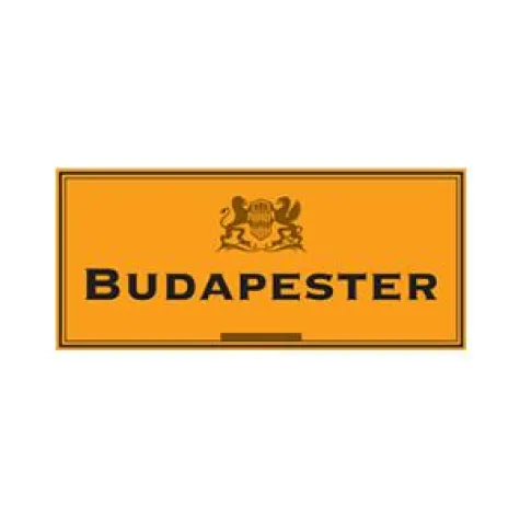 Bild: budapester.com wird zu mybudapester.com