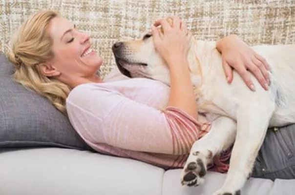 Bild: Natural Dog Training: Tiefentherapie für aggressive Hunde