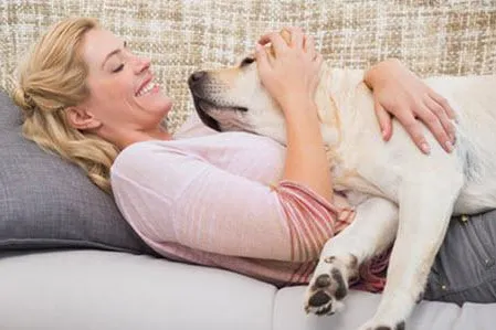 Natural Dog Training: Tiefentherapie für aggressive Hunde Bild: Natural Dog Training: Tiefentherapie für aggressive Hunde