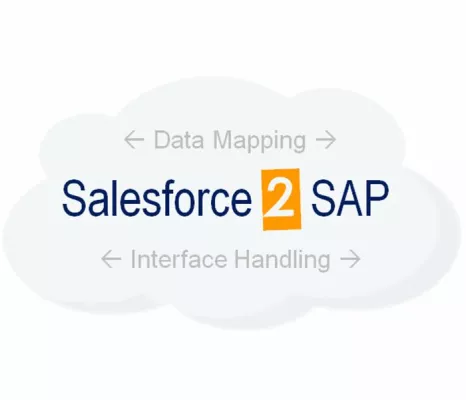 Bild: Lösung im Fokus: Integration von Salesforce und SAP