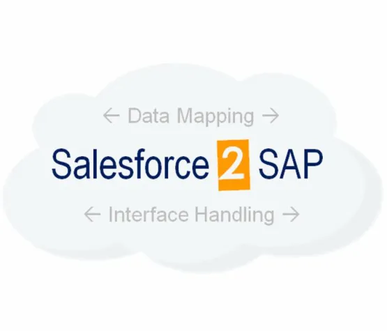 Lösung im Fokus: Integration von Salesforce und SAP Bild: Lösung im Fokus: Integration von Salesforce und SAP