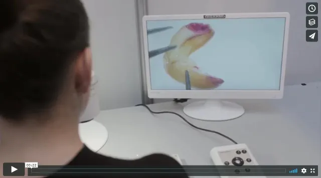 Wir bringen Reinheits- und Keimfähigkeitstests von Samen ins digitale Zeitalter Bild: Wir bringen Reinheits- und Keimfähigkeitstests von Samen ins digitale Zeitalter