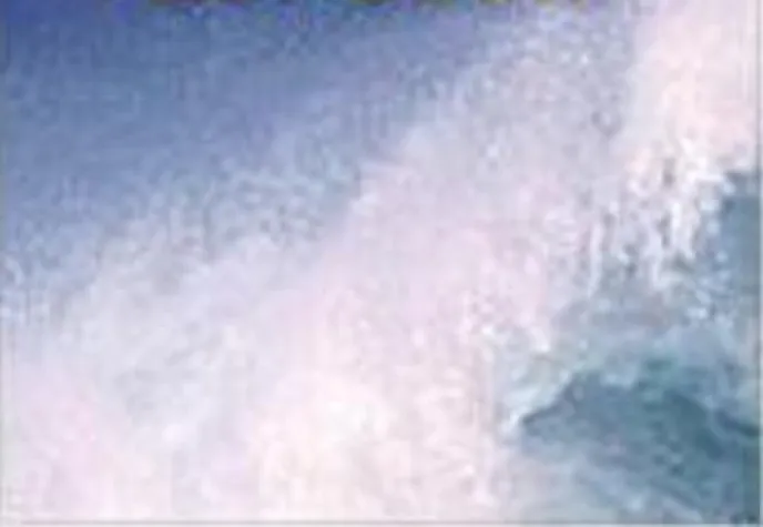 Bild: Die Heilkraft der Seele