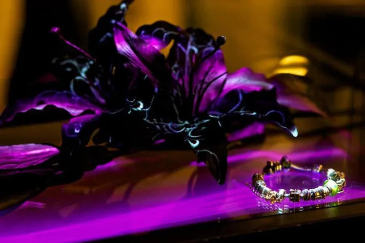 Bild: LOOP LIGHT inszeniert „Electric Showcase” mit coolux